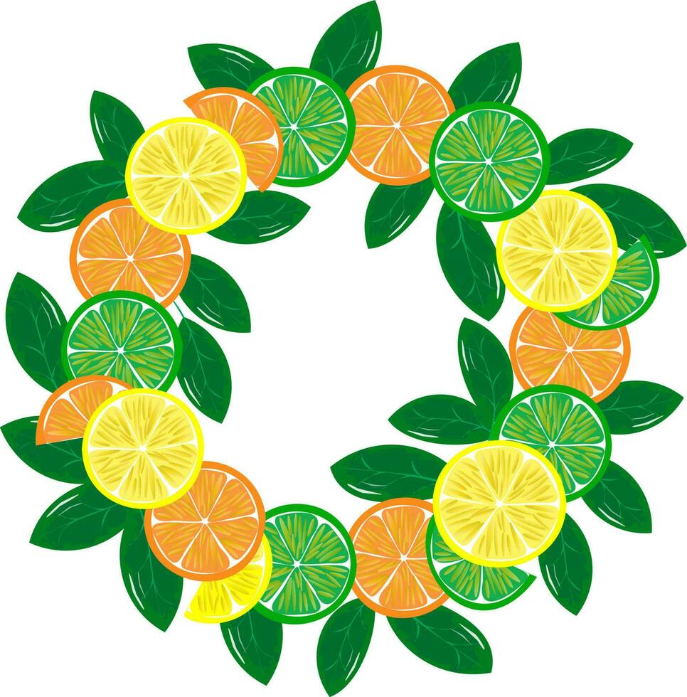 naadloos patroon vector achtergrond citrus plak oranje, limoen, citroen, pompelmoes. eps10 vector