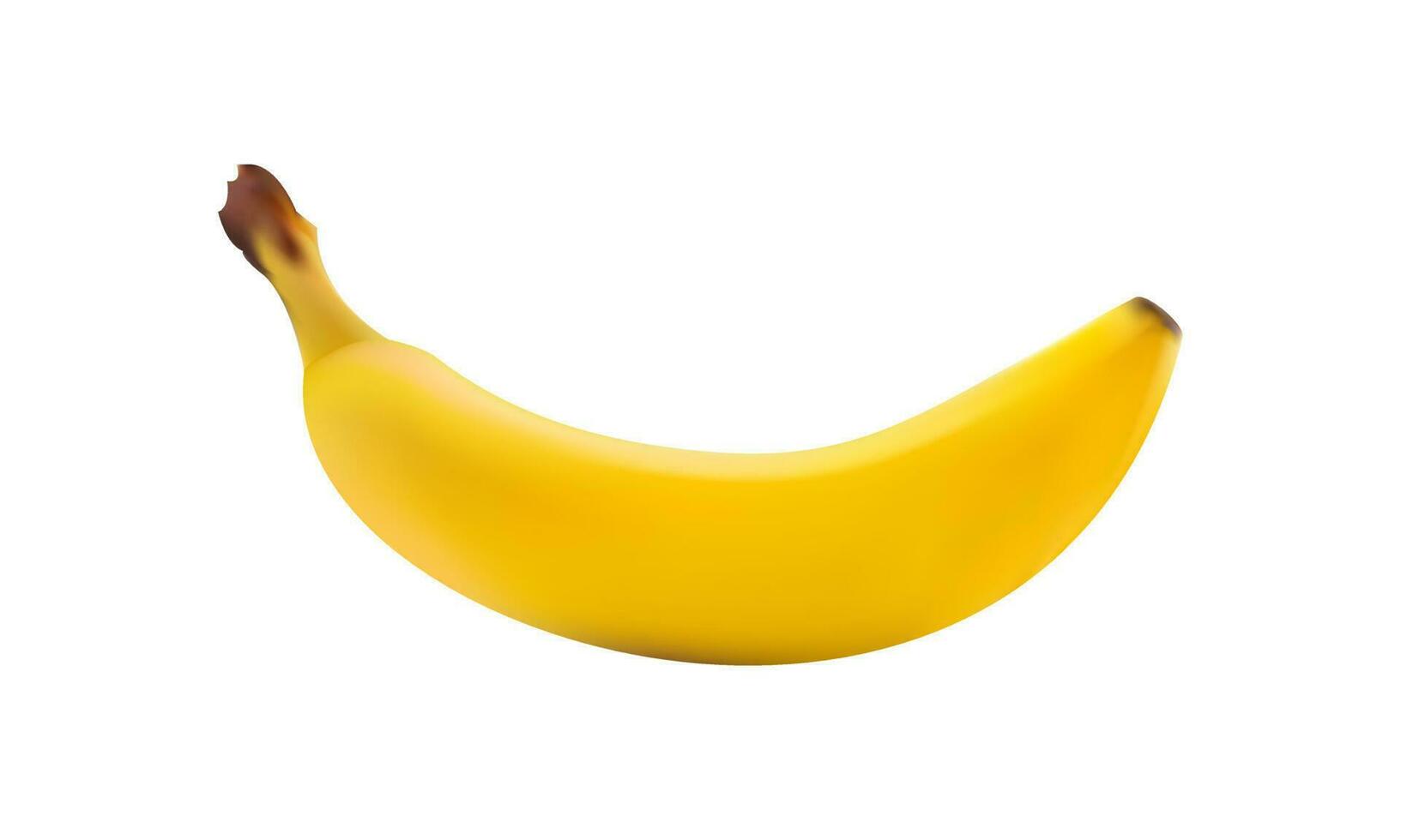 banaan in realistisch stijl. 3d banaan geïsoleerd Aan wit achtergrond voor afdrukken, appjes, webpagina's. vector
