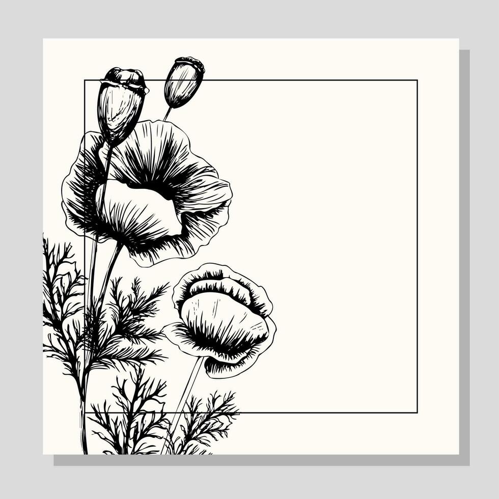 banier met papaver bloemen Aan een licht achtergrond. hand- getrokken papaver bloemen. symbool van de dag van herinnering. poster voor de dag van herinnering en zege vector