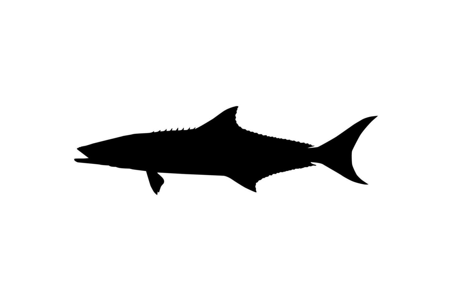 cobia vis silhouet, ook bekend net zo zwart koningsvis, zwart Zalm, leng, citroenvis, krabbeneter, verloren zoon, kabeljauw, en zwart bonito. vector illustratie