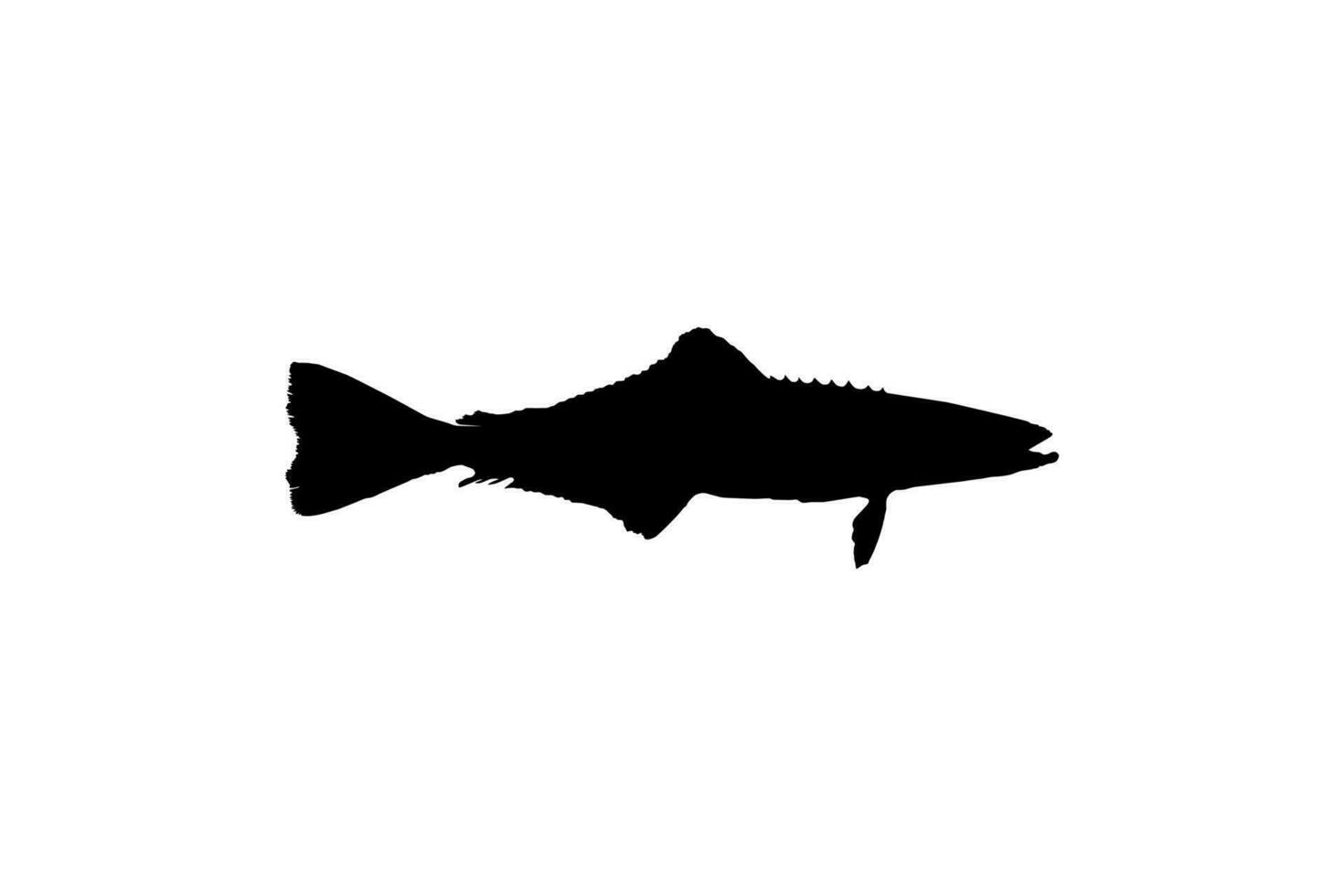 cobia vis silhouet, ook bekend net zo zwart koningsvis, zwart Zalm, leng, citroenvis, krabbeneter, verloren zoon, kabeljauw, en zwart bonito. vector illustratie
