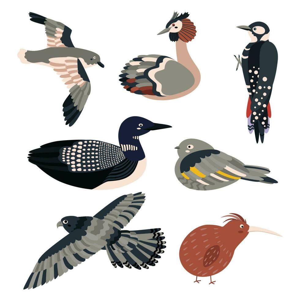 reeks van vogelstand stormvogel, fuut, specht, gek, geitenzuiger, valk, kiwi. vector