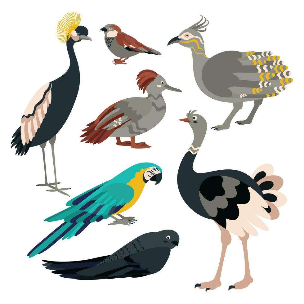 reeks van vogelstand kraan, mus, tinamoe, eend, papegaai, snel, struisvogel. vector