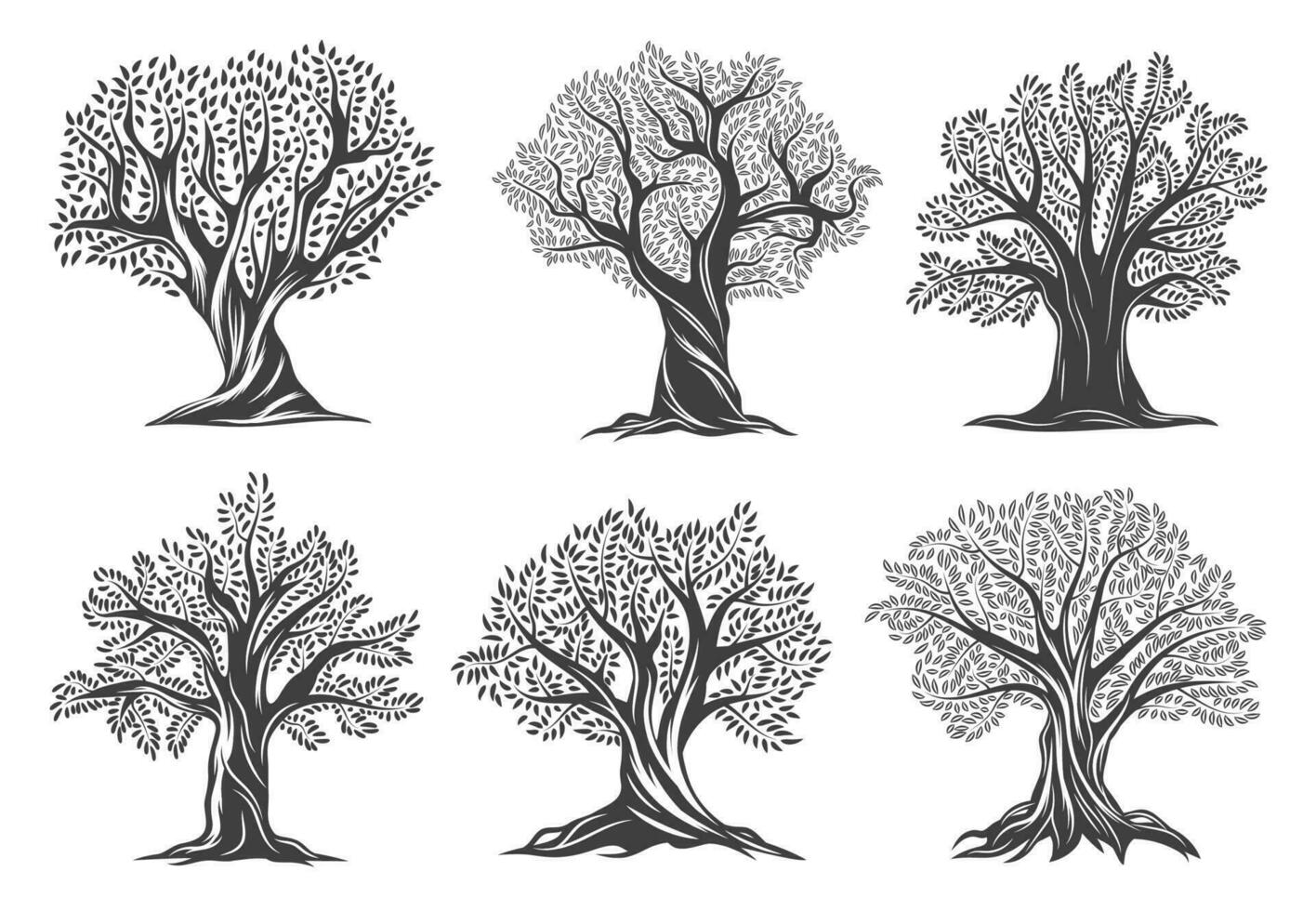 oud olijf- bomen boerderij, extra maagd olijf- olie icoon vector