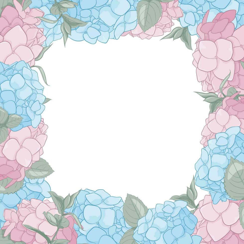 een plein kader van blauw en roze hartensia struiken. pastel decoratie met bloemen, bladeren voor foto's, geweldig en decor vector