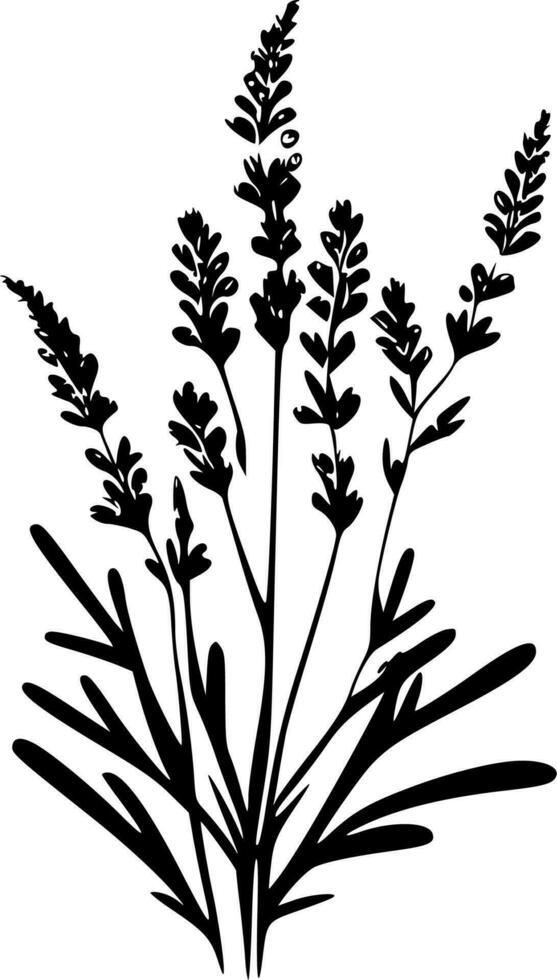 lavendel, minimalistische en gemakkelijk silhouet - vector illustratie