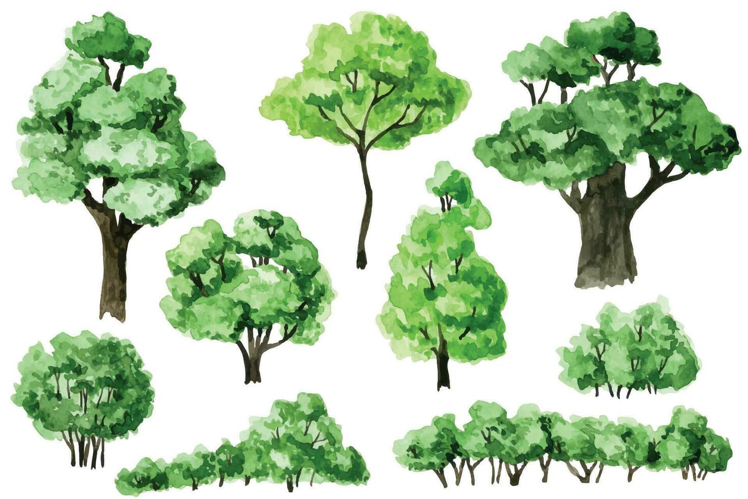 waterverf tekening. reeks van groen bomen en struiken. Woud, tuin elementen vector