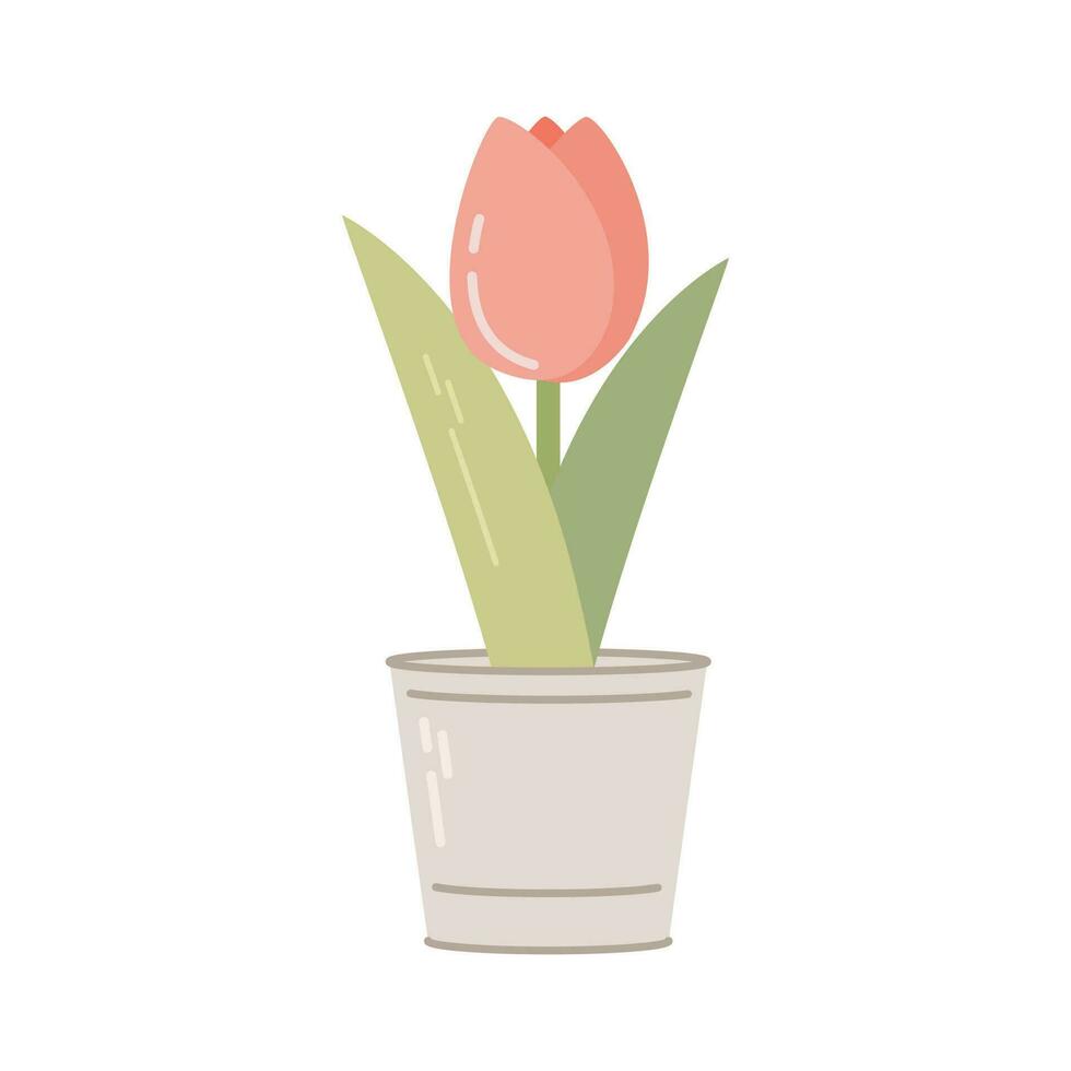 metaal pot met tulp geïsoleerd Aan wit achtergrond. seizoensgebonden tuin werk. voorjaar vector illustratie.