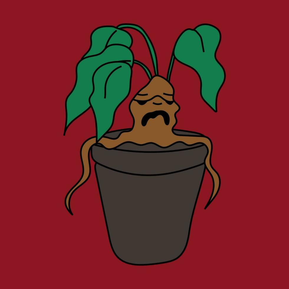 mandragora, is een magisch en bewust fabriek. wortel met gezicht. de magie wortel groente. vector