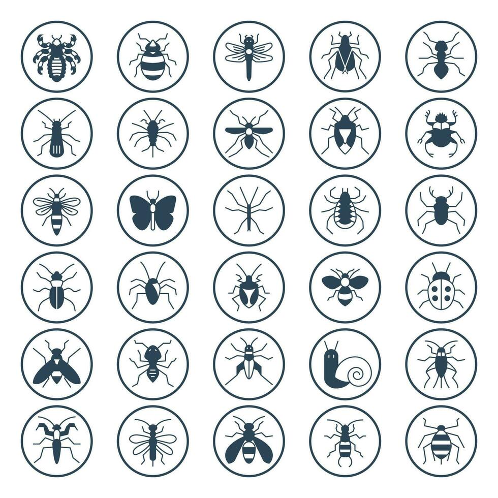 cirkel glyph pictogrammen voor insecten. vector