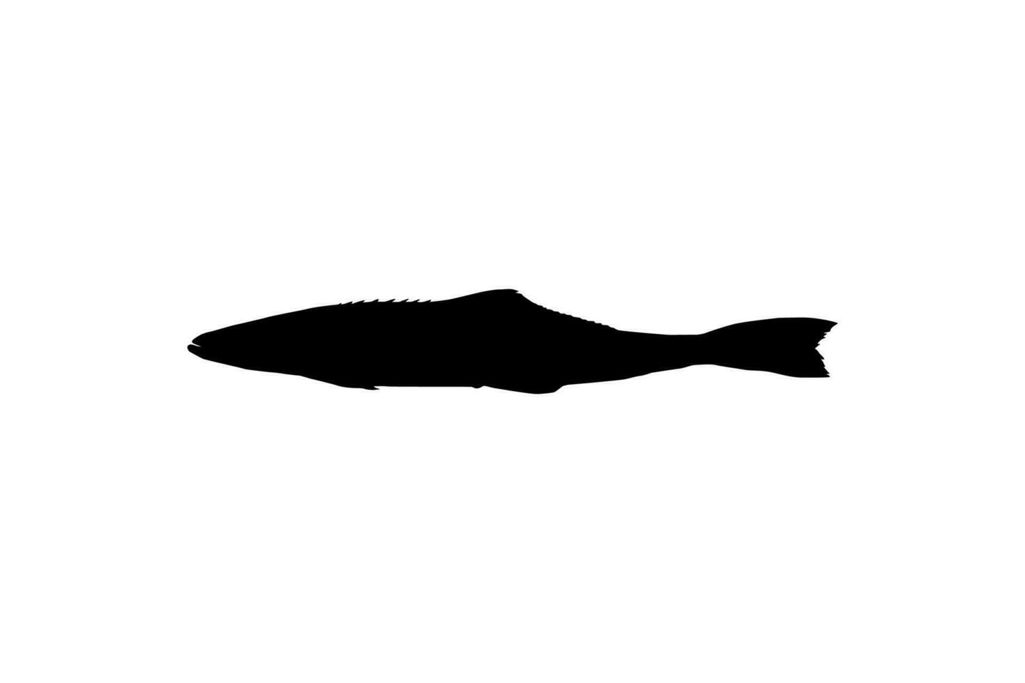 cobia vis silhouet, ook bekend net zo zwart koningsvis, zwart Zalm, leng, citroenvis, krabbeneter, verloren zoon, kabeljauw, en zwart bonito. vector illustratie