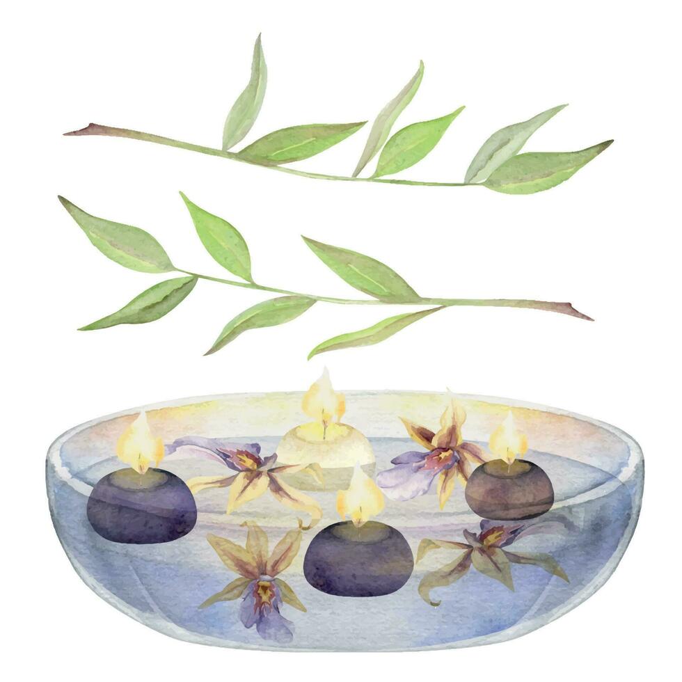 hand- getrokken waterverf spa drijvend kaarsen in glas schaal, orchidee bloemen en eucalyptus. geïsoleerd voorwerp Aan wit achtergrond. ontwerp voor muur kunst, welzijn toevlucht, afdrukken, kleding stof, omslag, kaart, boekje. vector