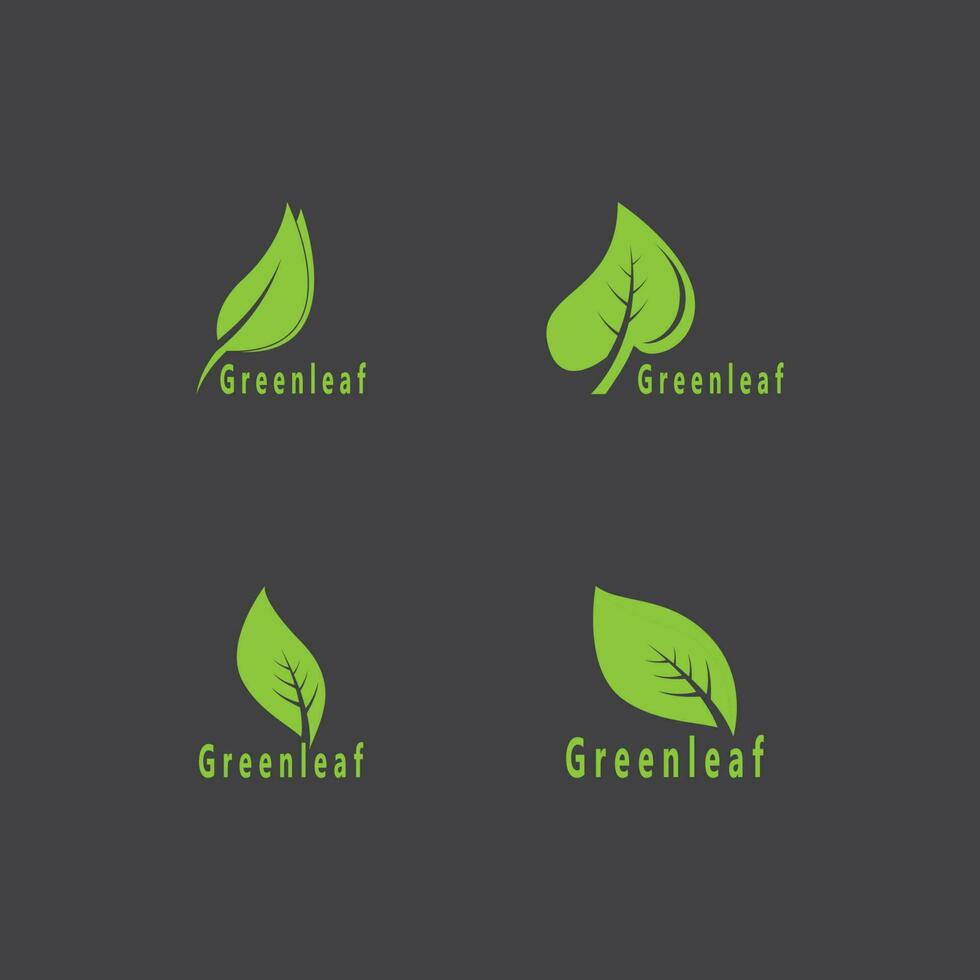 groen blad natuur fabriek conceptuele symbool vector illustratie