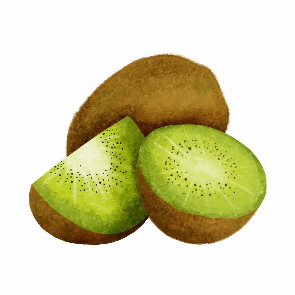 kiwi fruit geïsoleerd Aan wit achtergrond. vector