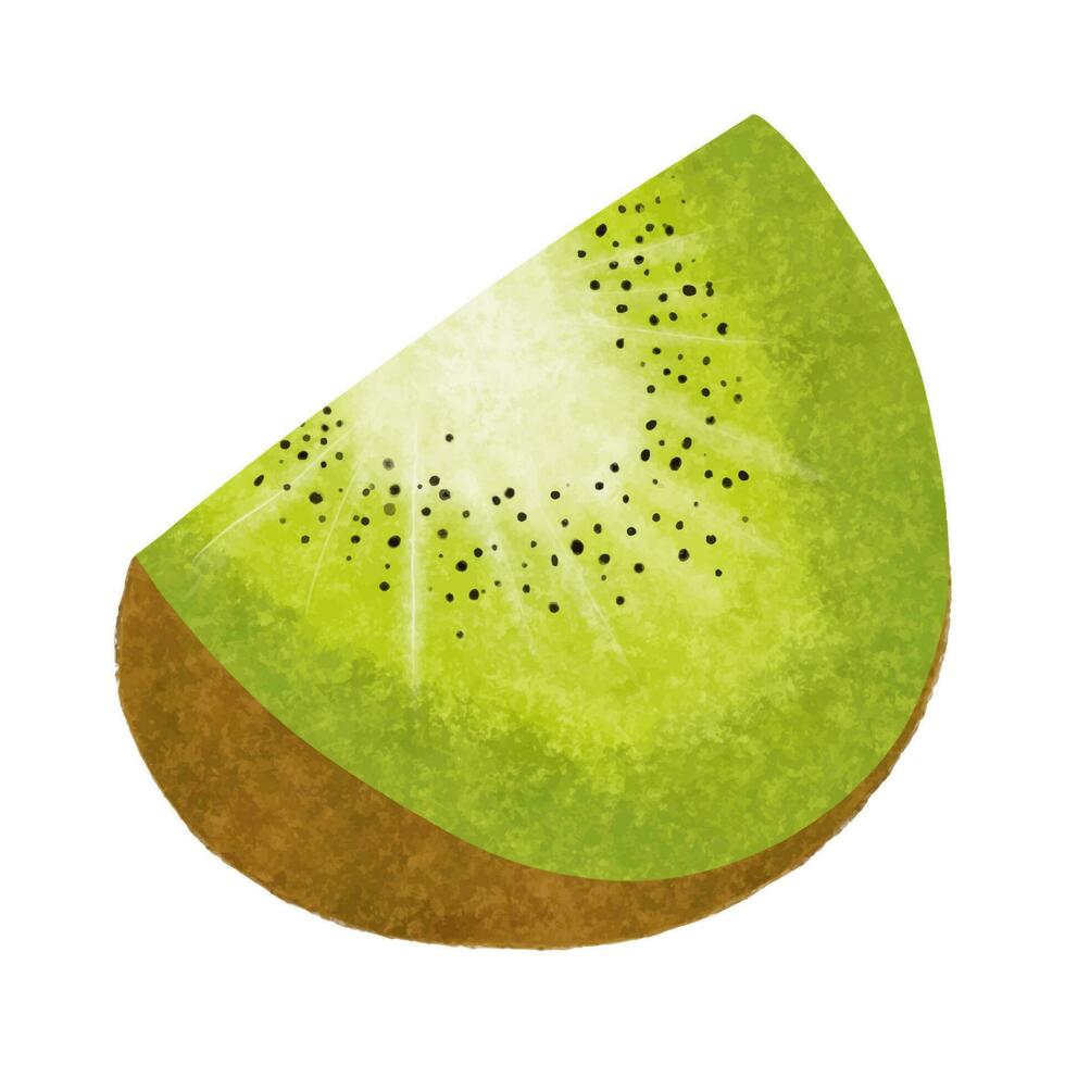 kiwi fruit geïsoleerd Aan wit achtergrond. hand- getrokken illustratie. vector