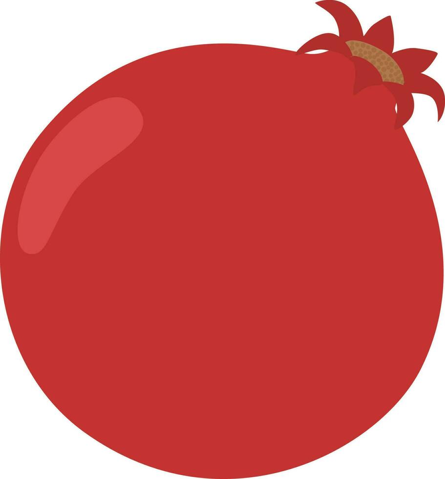 granaatappel fruit illustratie vector