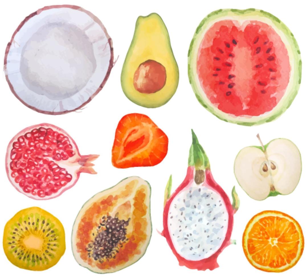 aquarel set van vers rijp fruit bessen en en en exotisch fruit close-up teken objecten geïsoleerd op een witte achtergrond vector