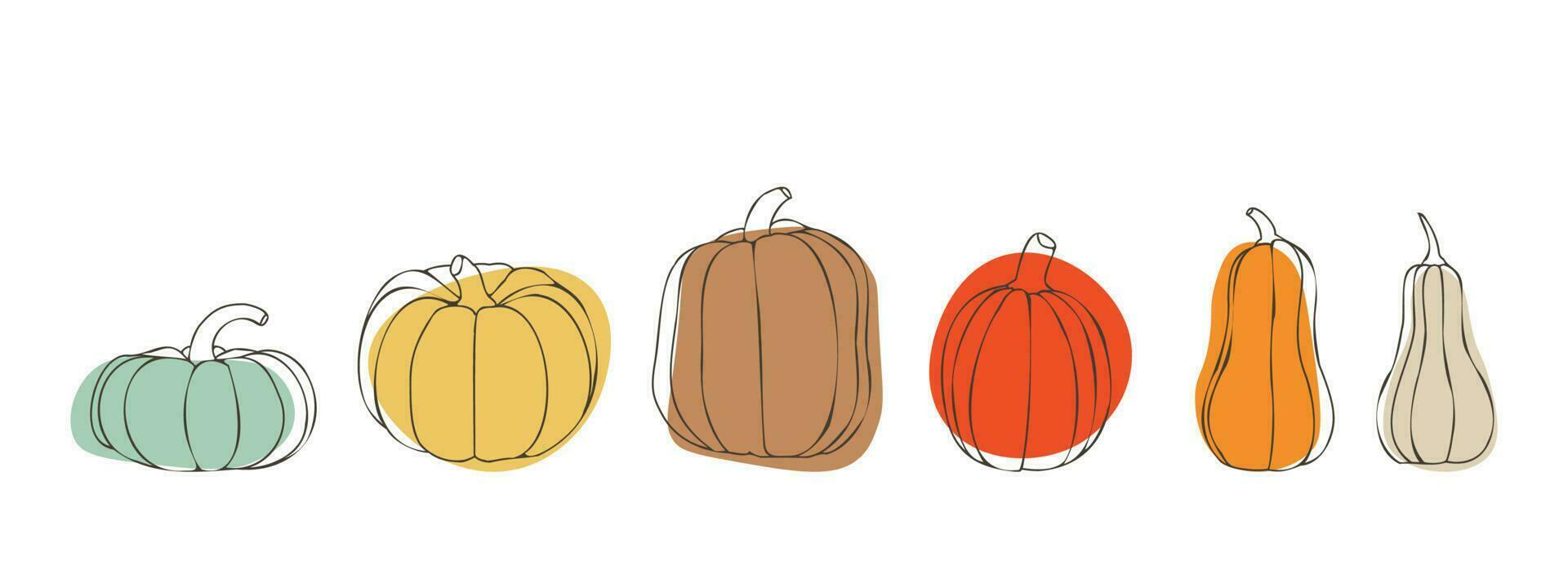 pompoen reeks voor dankzegging of halloween dag. pompoenen in divers maten en kleuren. voor herfst ontwerpen. vector