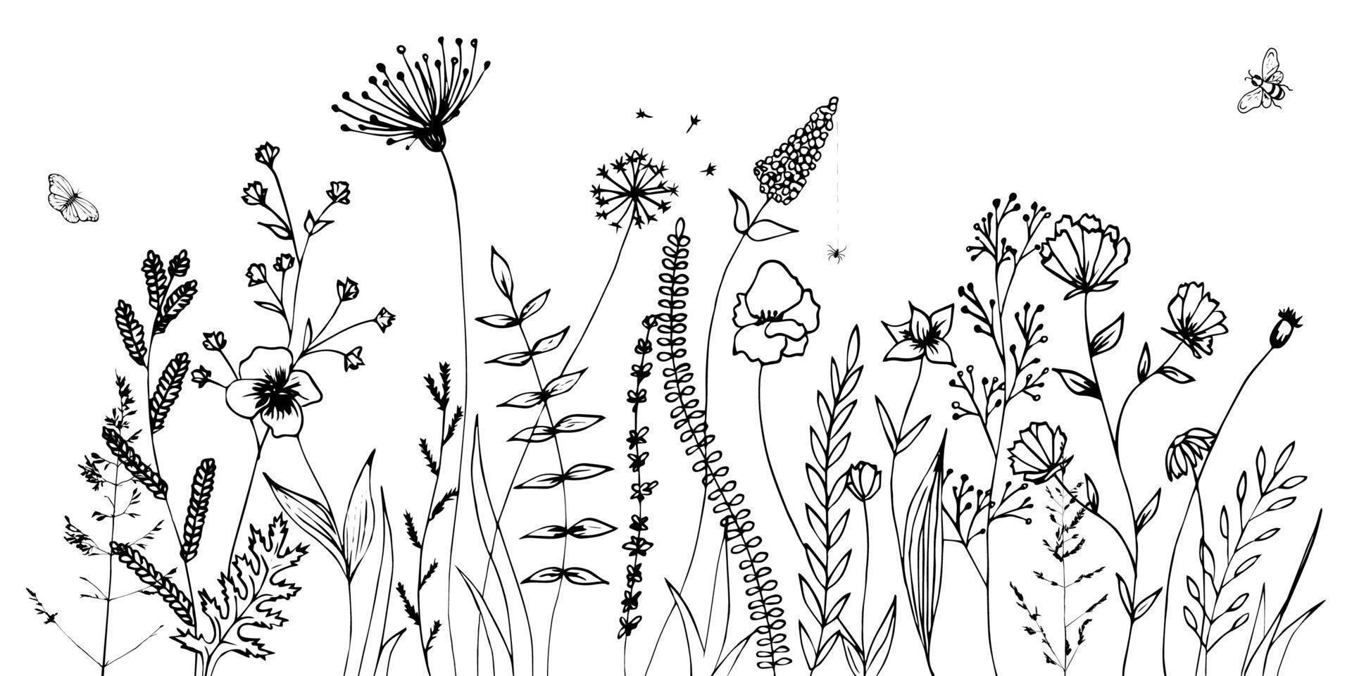 zwarte silhouetten van gras, bloemen en kruiden geïsoleerd op een witte achtergrond. hand getrokken schets bloemen en insecten. vector