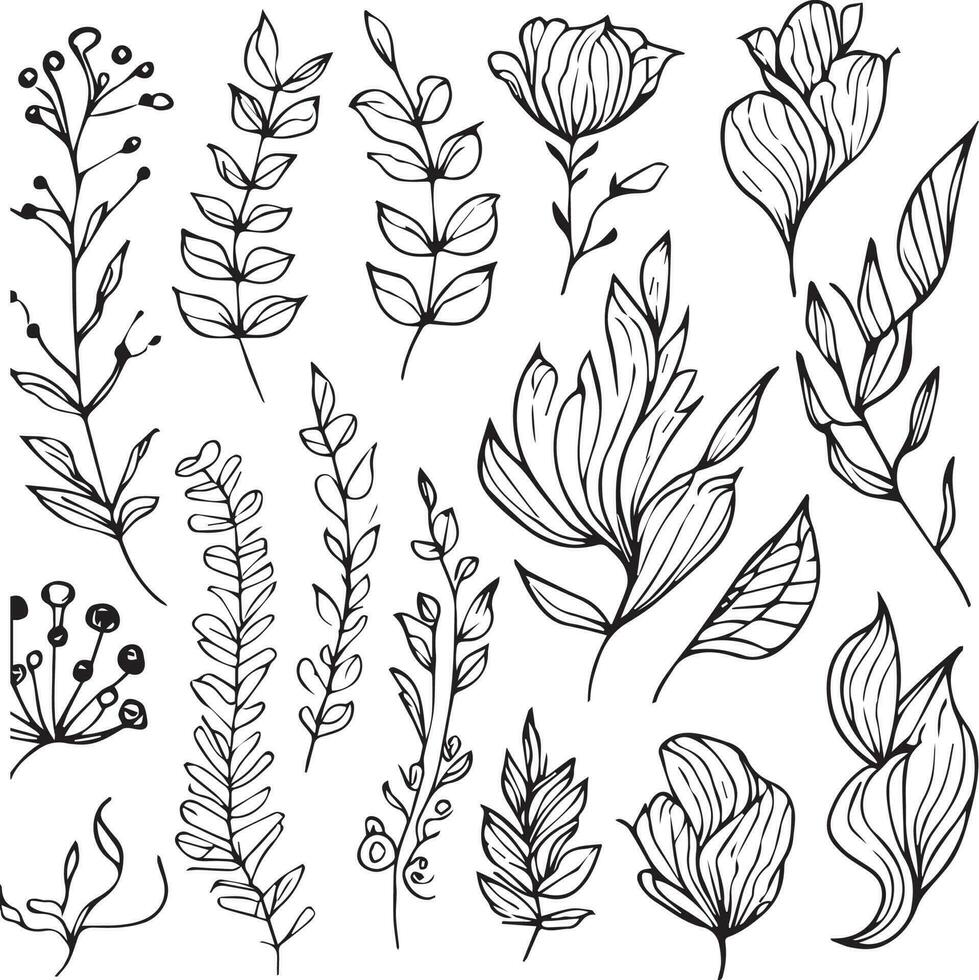 botanisch tekening bloem lijn kunst, lief ontwerp. gemakkelijk schetsen kunst of botanisch illustratie, minimaliseert botamisch blad tekening, botanisch vector kunst geïsoleerd Aan wit achtergrond botanisch klem kunst