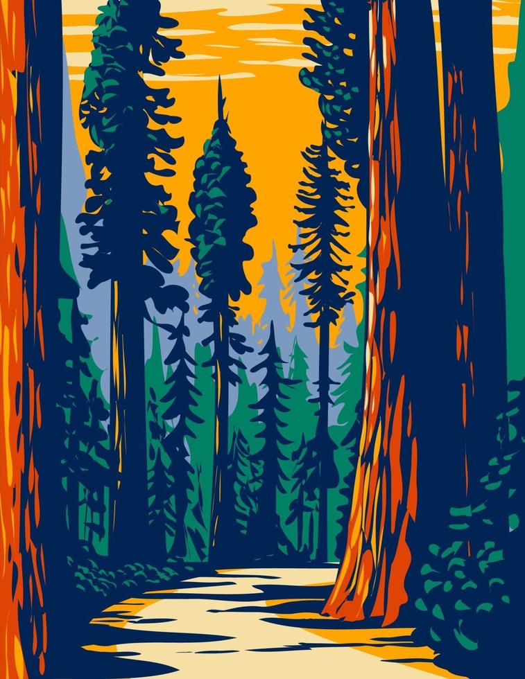 simpson-rietbosje van kustsequoia's gelegen in jedediah smith state park deel van redwood nationale en staatsparken in Californië wpa poster art vector