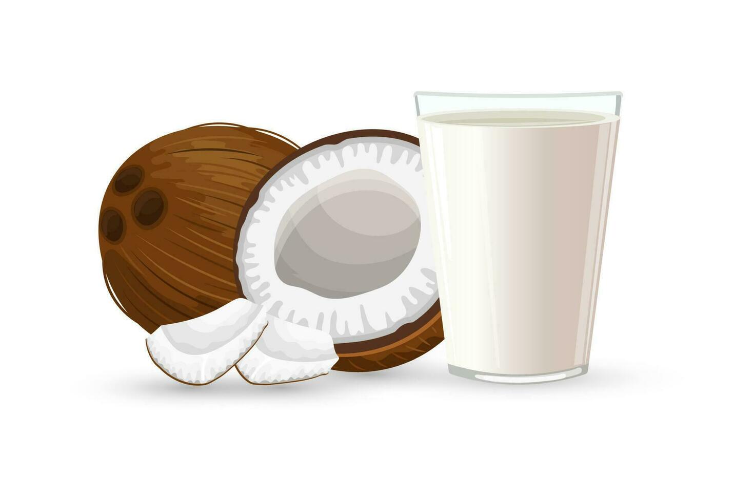 kokosnoot, voor de helft een kokosnoot, stukken van kokosnoot en een glas van melk met spatten Aan een wit achtergrond. illustratie, vector