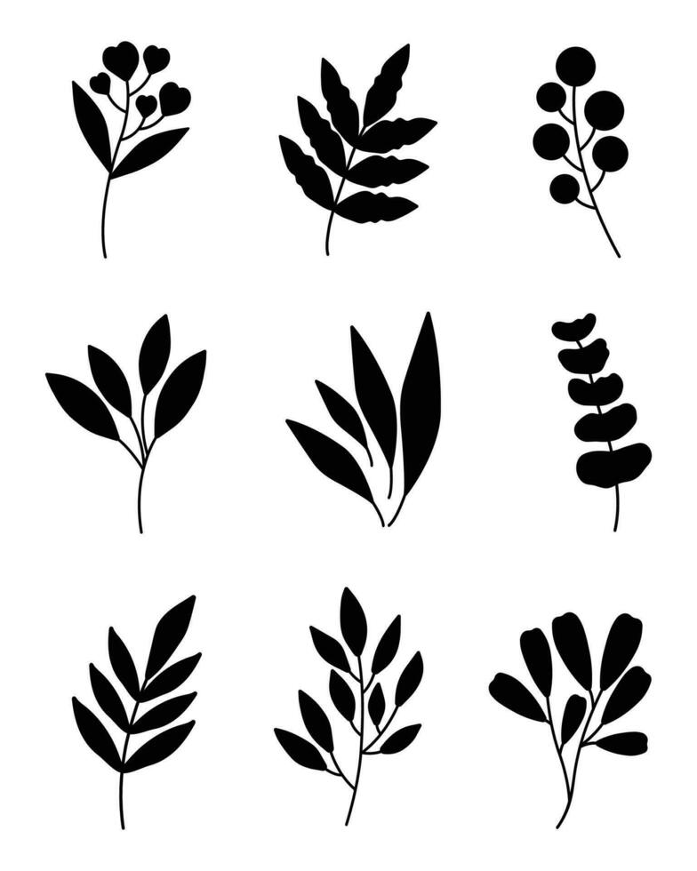 reeks van hand getekend bloem, blad, planten en bloemen elementen. geïsoleerd takken Aan een wit achtergrond. vector