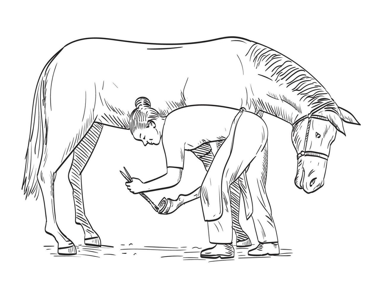 vrouw hoefsmid plaatsen hoefijzer Aan paard hoef kant visie comics stijl tekening vector