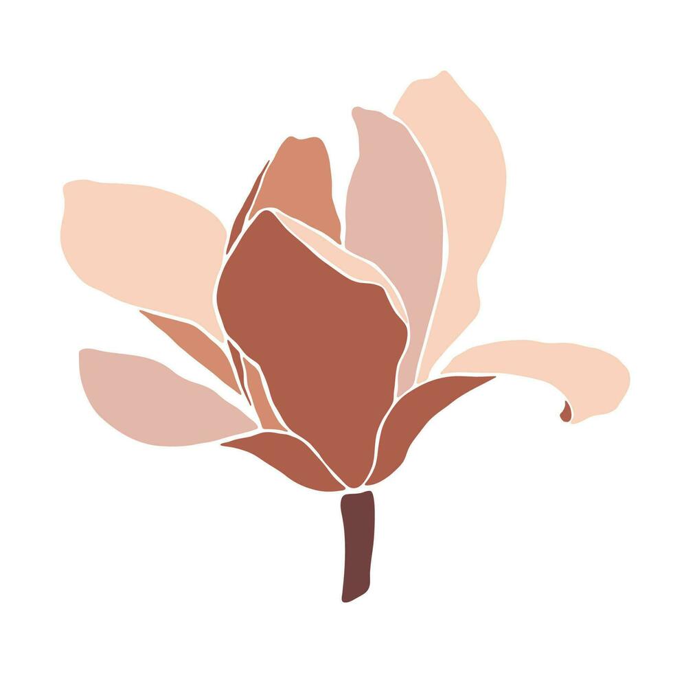 magnolia bloeiend bloem Aan wit achtergrond, detailopname. vector