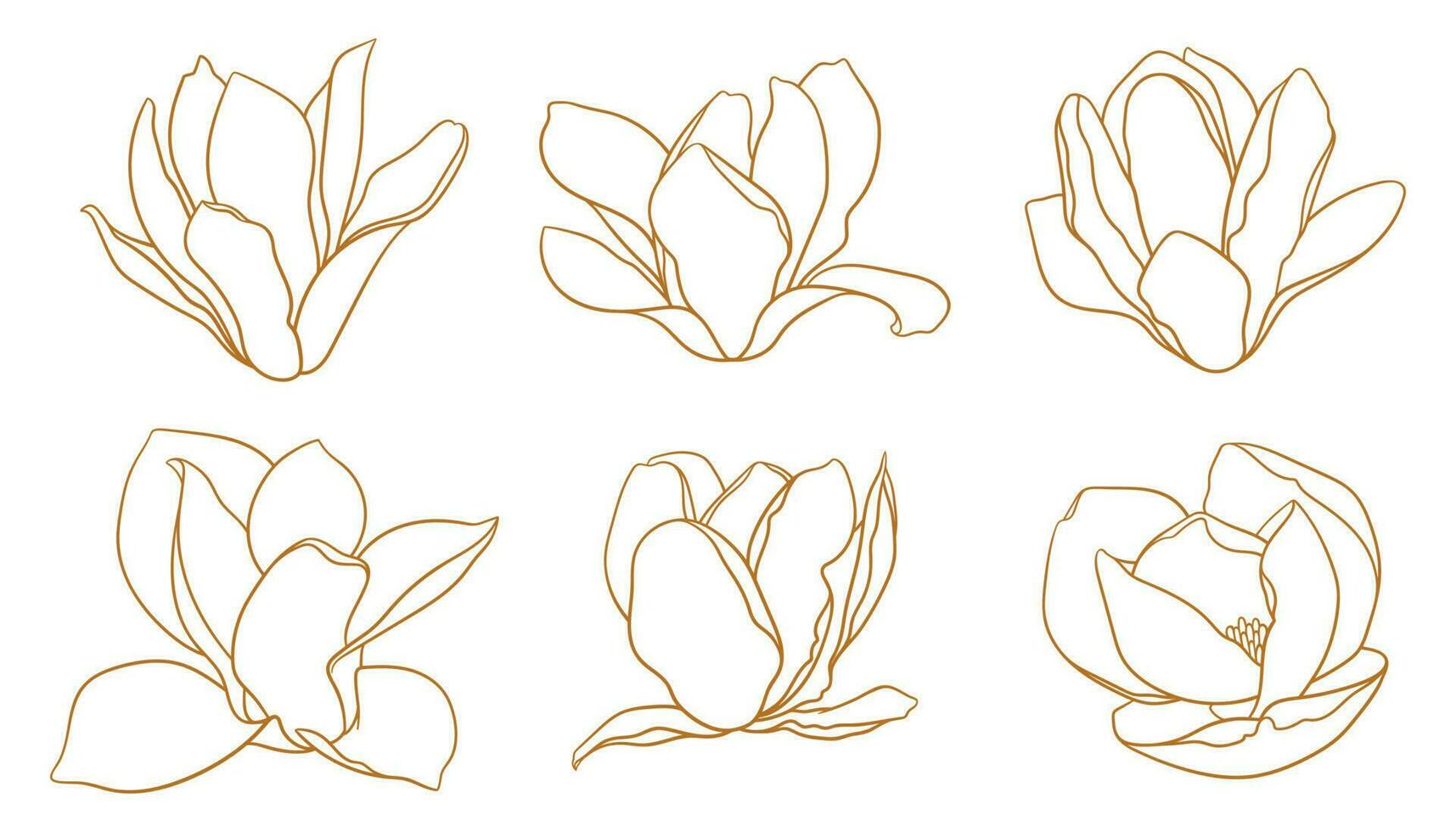 reeks van bloeiend magnolia bloemknoppen in goud kleur. vector