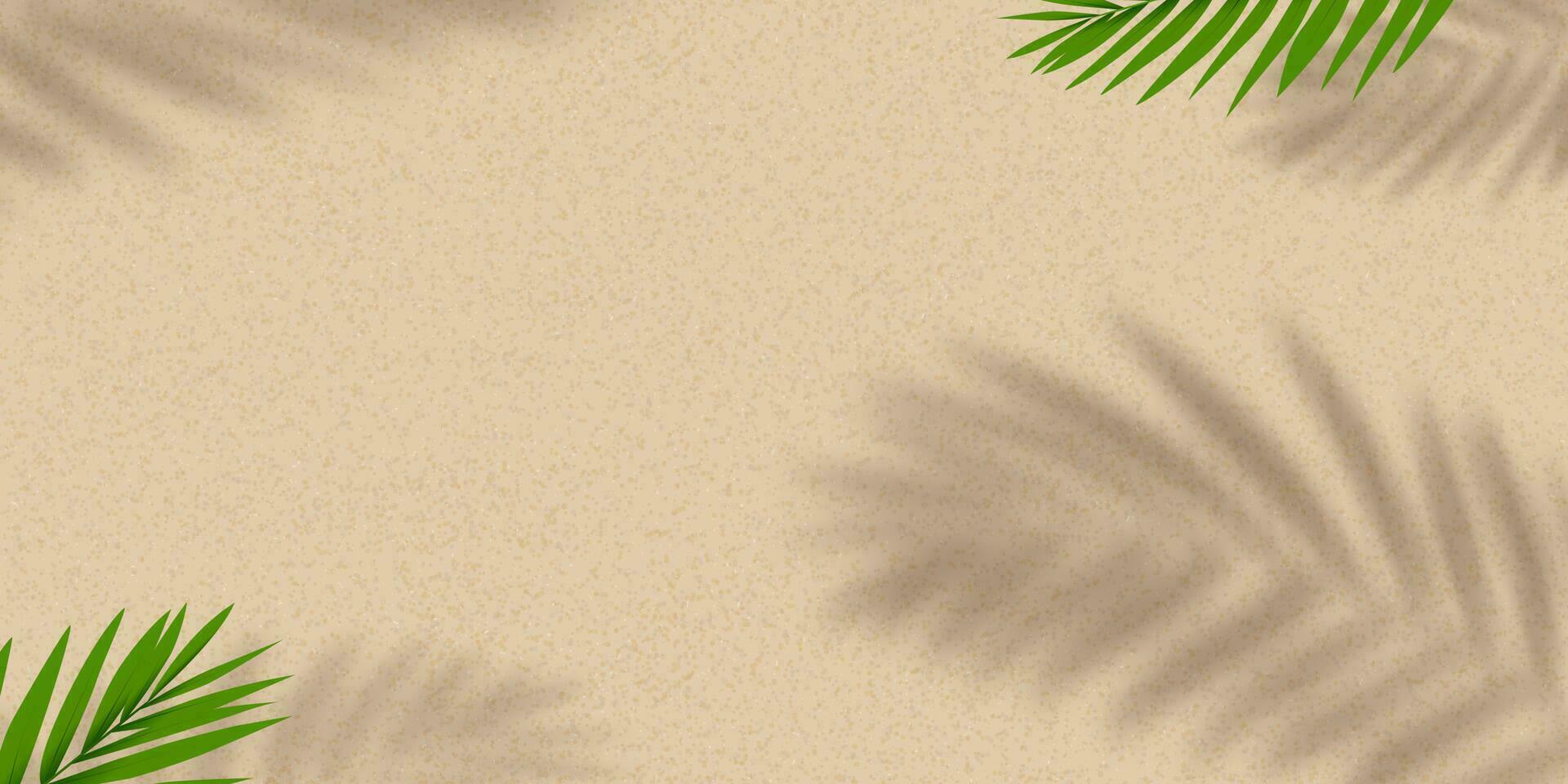 zand structuur achtergrond met palm bladeren silhouet, kokosnoot blad schaduw Aan bruin zanderig strand, vector top visie zand oppervlak, achtergrond achtergrond breed horizon woestijn duin voor zomer Product presentatie