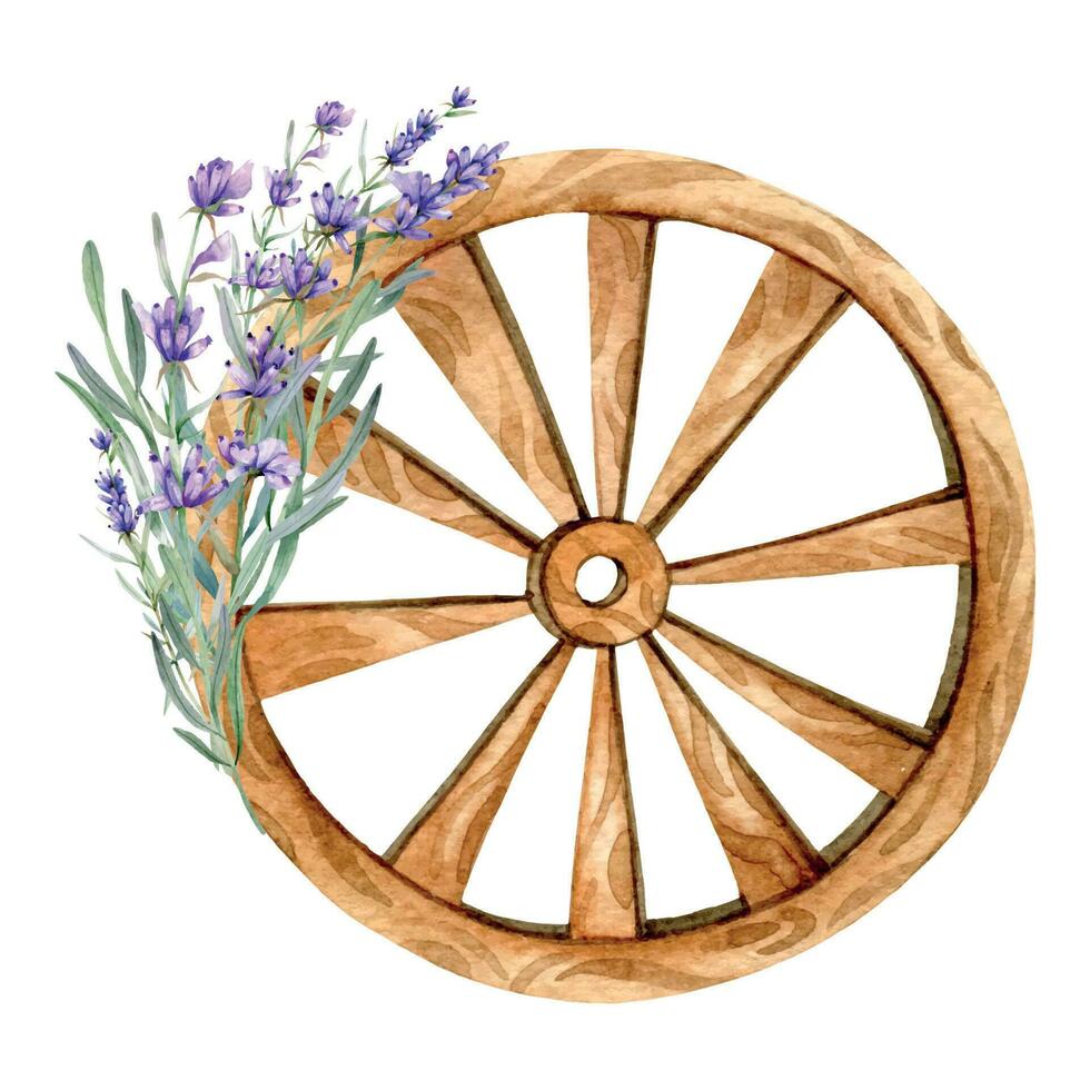 lavendel waterverf illustratie. provence kruiden hand- geschilderd geïsoleerd Aan wit achtergrond. perfect voor bruiloft uitnodigingen, bruids douche en bloemen groet kaarten vector