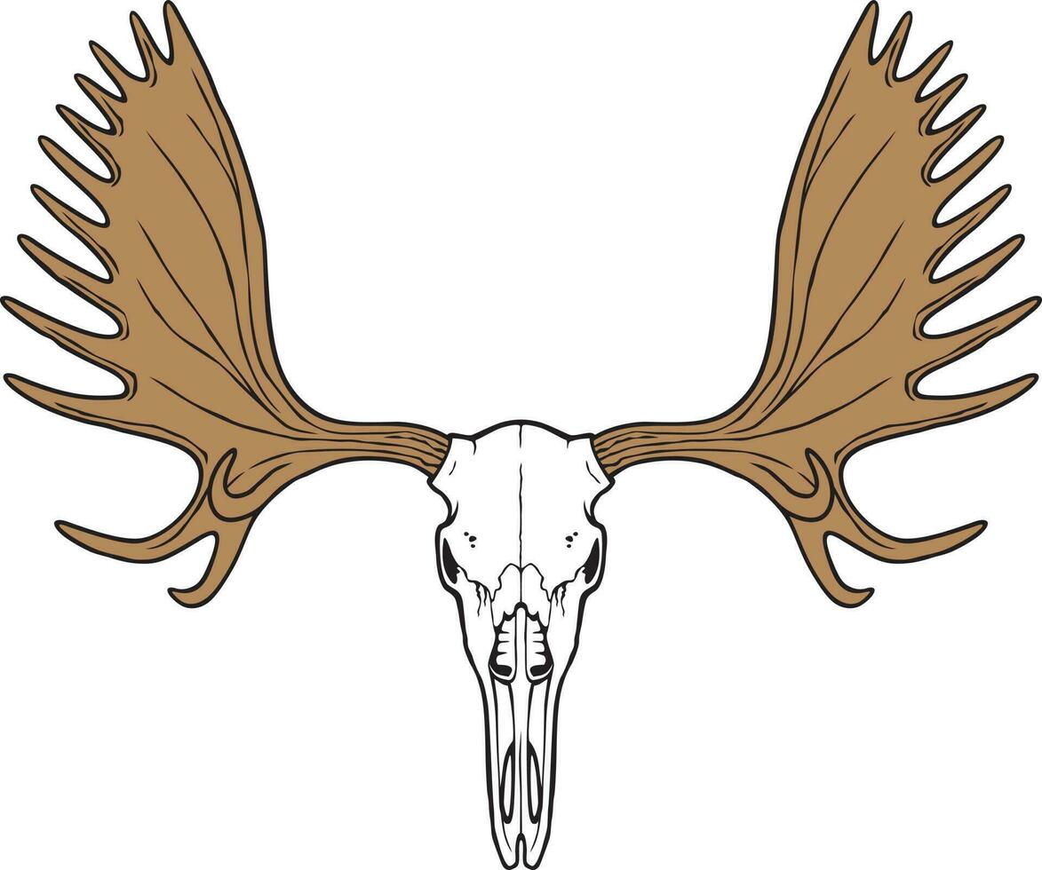 eland schedel kleur. vector illustratie.