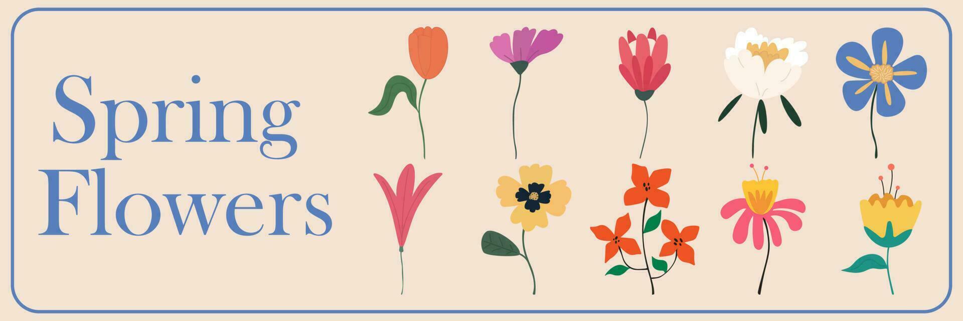 gemakkelijk vector hand- getrokken divers vormen en tekening botanisch natuur bloemen en bladeren modern modieus elementen illustratie set. voorjaar en zomer seizoen.