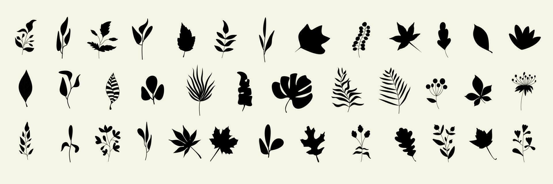 groot reeks van blad silhouetten. herfst en voorjaar achtergrond. verzameling van bladeren van varen, esdoorn, kastanje, berk, lijsterbes, eik, wilg, lila, esp, as, ginkgo biloba. voorraad vector illustratie eps10