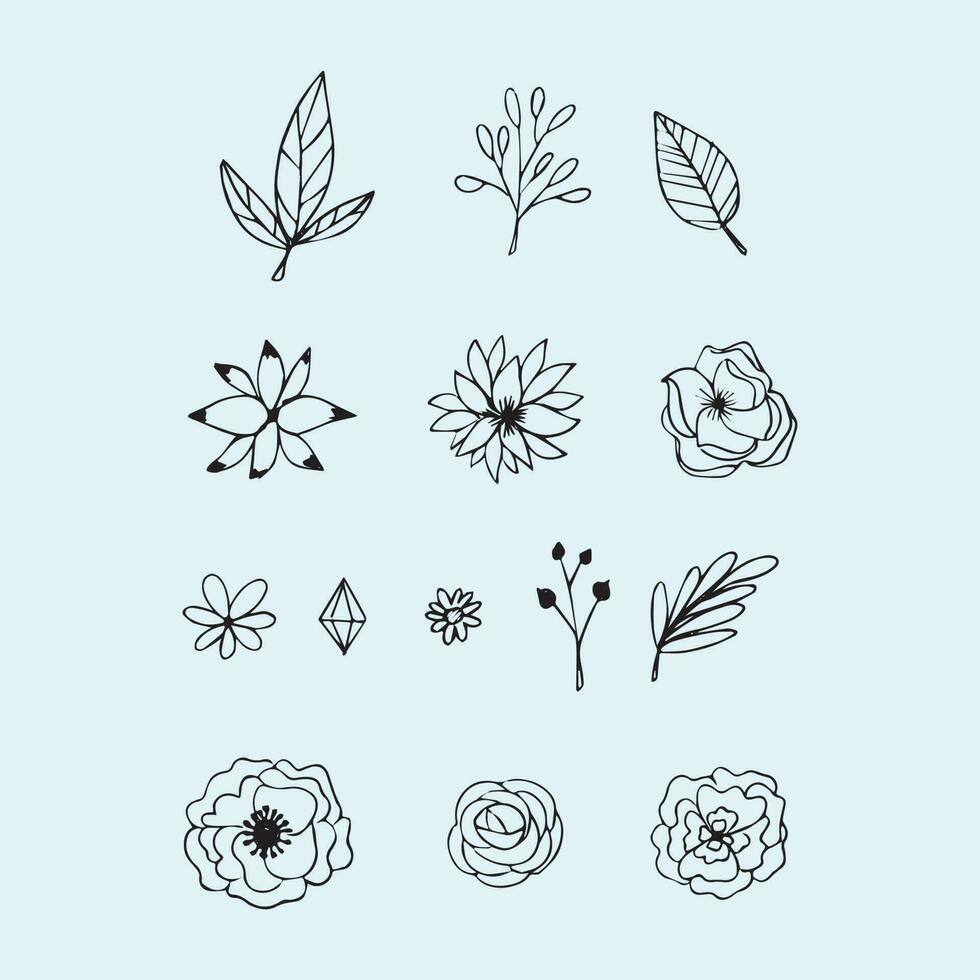 hand- getrokken bloemen bladeren vector