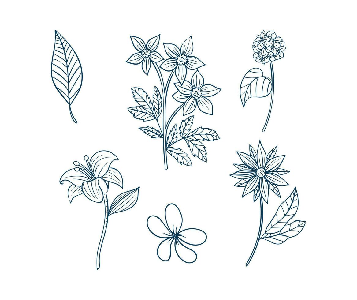 elegant bloemen schets vector