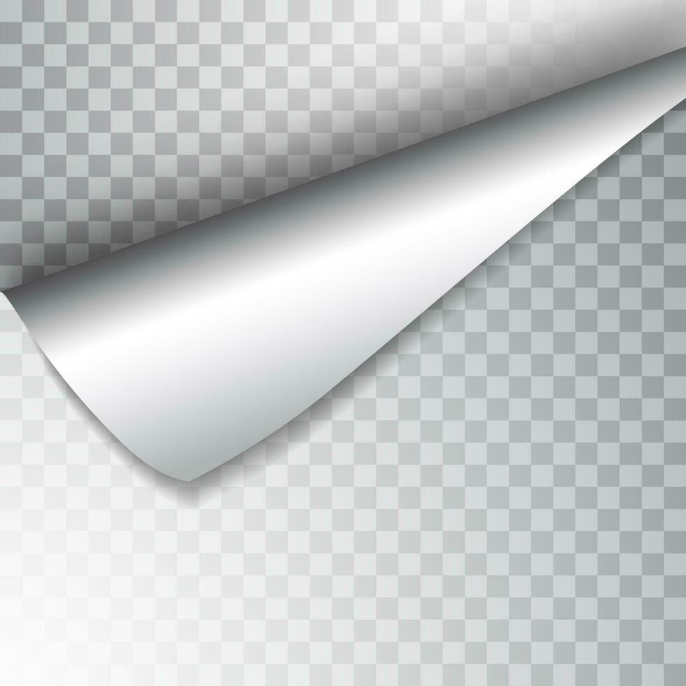 papier bladzijde met gekruld hoek en schaduw. sjabloon voor uw ontwerp. set. vector illustratie
