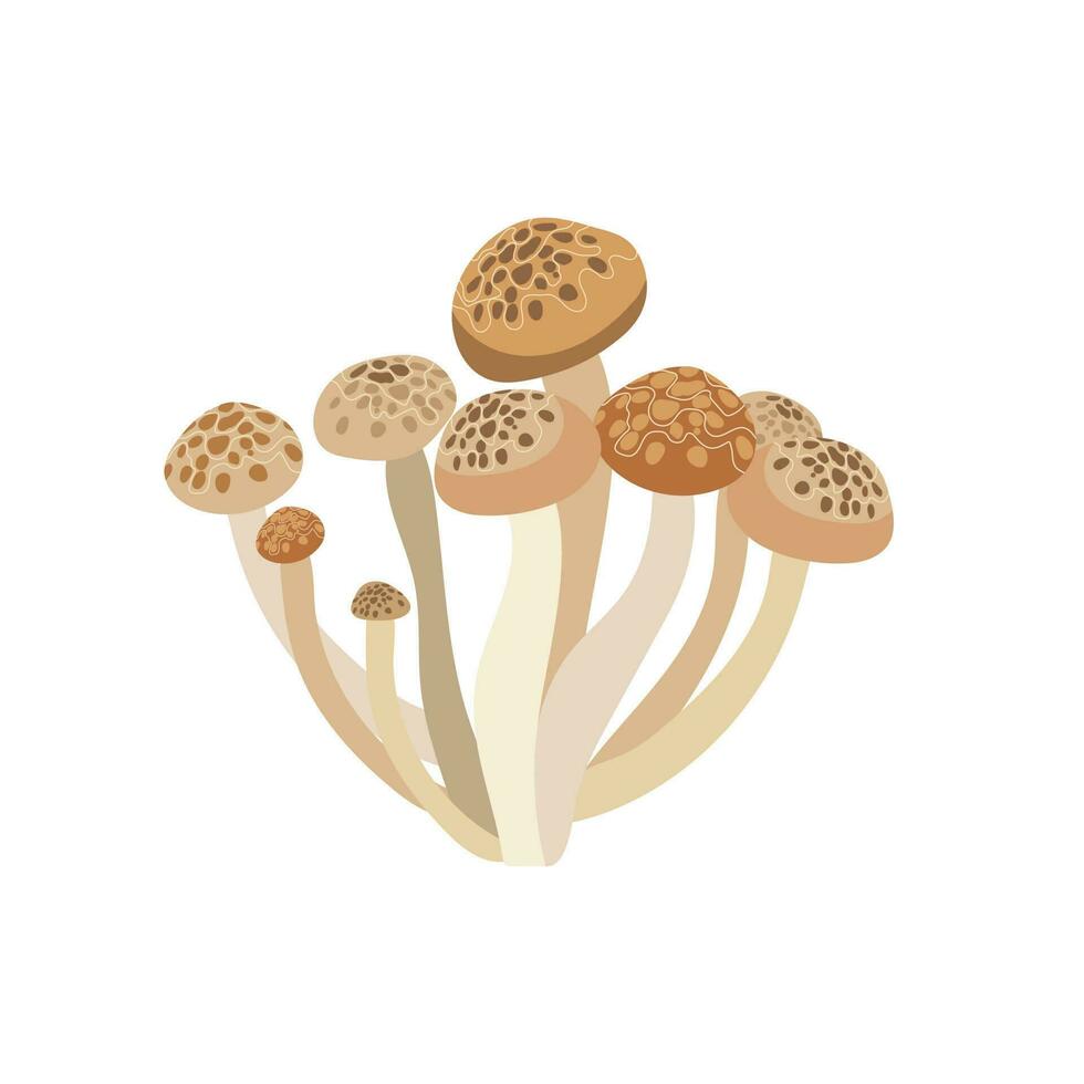 shimeji champignons Aan een wit achtergrond. shimeji paddestoel vector vlak illustratie