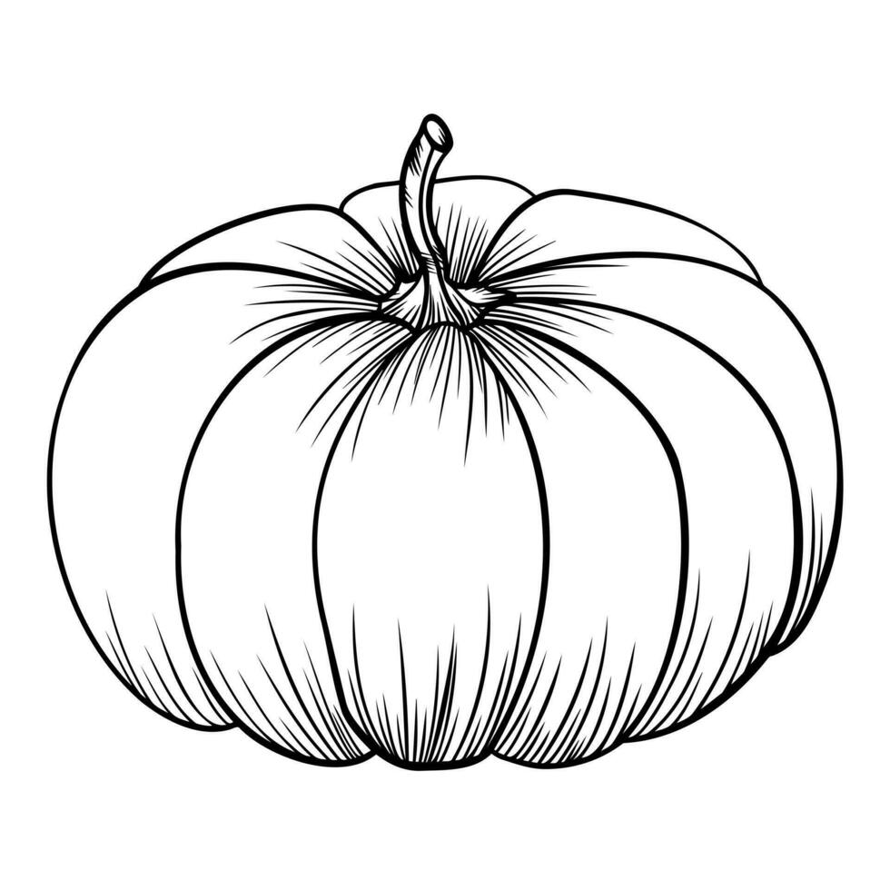 lineair pompoen. herfst vector illustratie. dankzegging. halloween. oktober