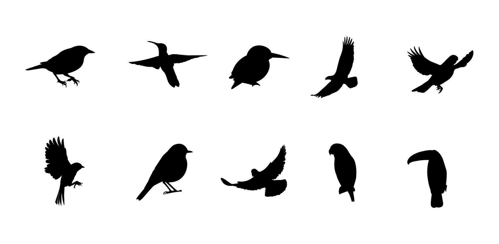 vogel silhouet illustratie vector