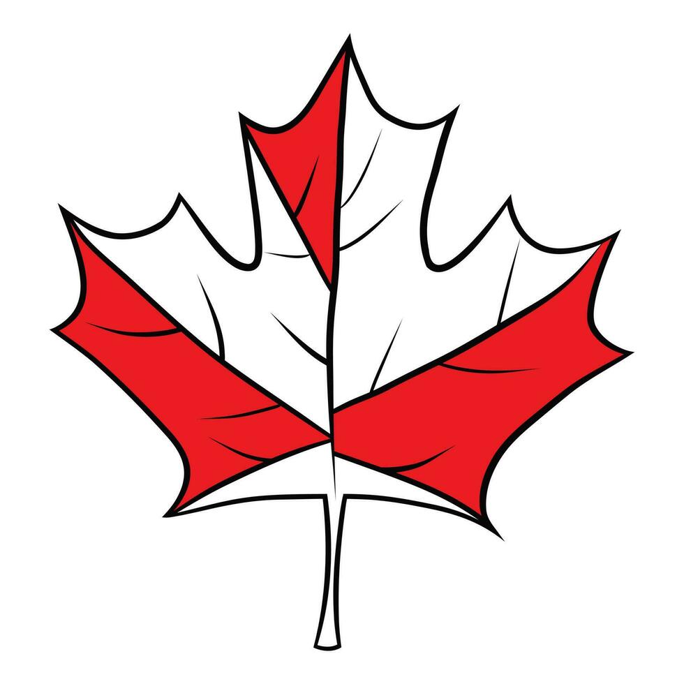 Canadees esdoorn- blad, hand- trek illustratie vector
