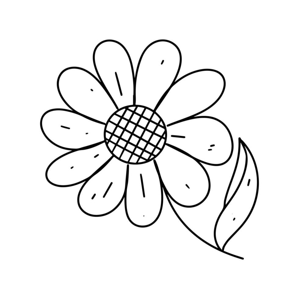 bloem in hand- getrokken tekening stijl. gemakkelijk vector illustratie geïsoleerd Aan wit. kleur bladzijde.