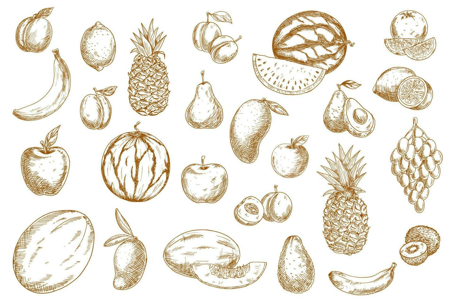 fruit schetsen voedsel pictogrammen, tropisch exotisch geïsoleerd vector