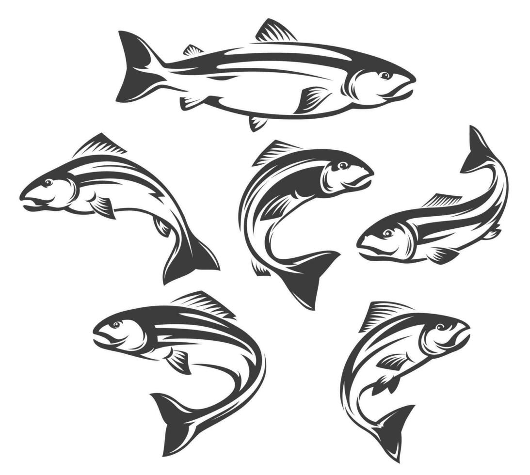 Zalm of forel vis geïsoleerd pictogrammen, visvangst sport vector