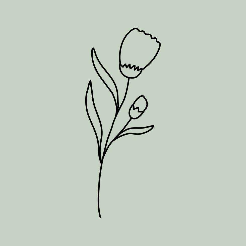 lijntekeningen bloemen vector