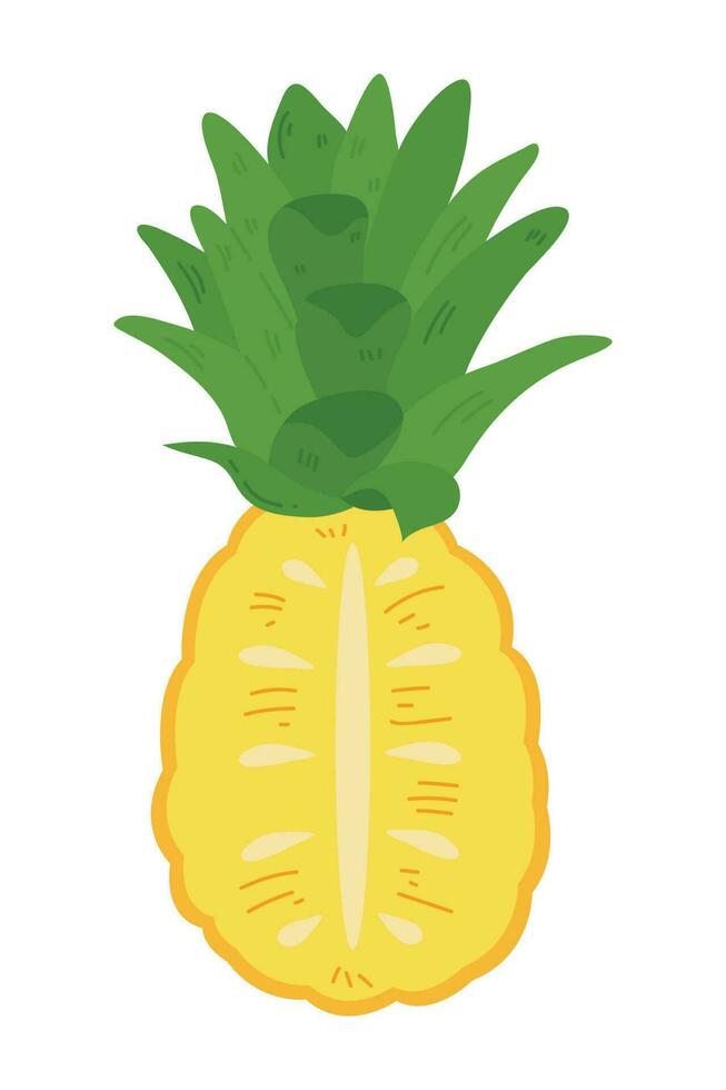 hand- getrokken ananas illustratie geïsoleerd Aan wit achtergrond. vers zomer fruit illustratie. vector