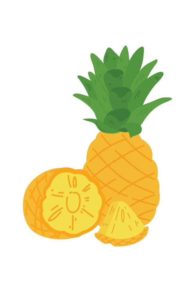 hand- getrokken ananas illustratie geïsoleerd Aan wit achtergrond. vers zomer fruit illustratie. vector