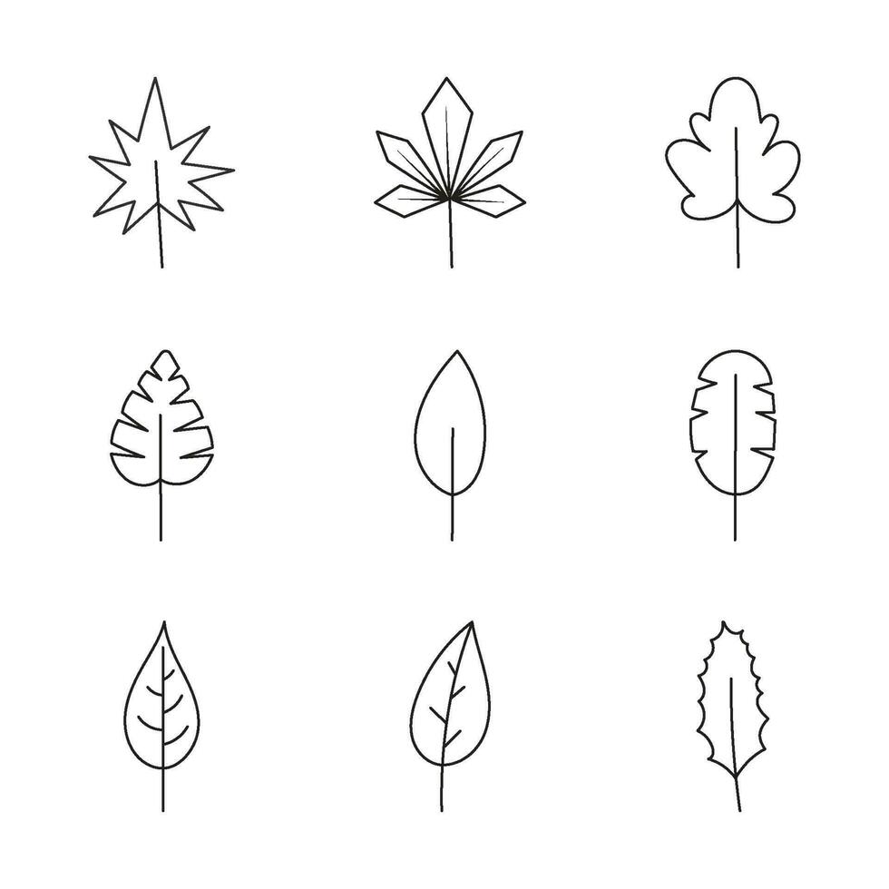 minimalistische blad verzameling. hand- getrokken tak, bladeren kruiden en wild planten reeks in lijn stijl.2 vector