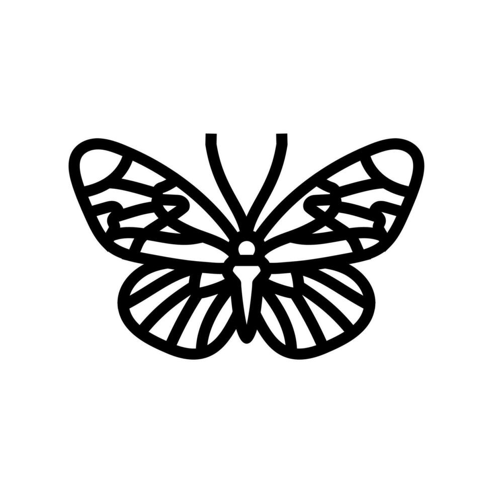 sapho longwing insect lijn icoon vector illustratie